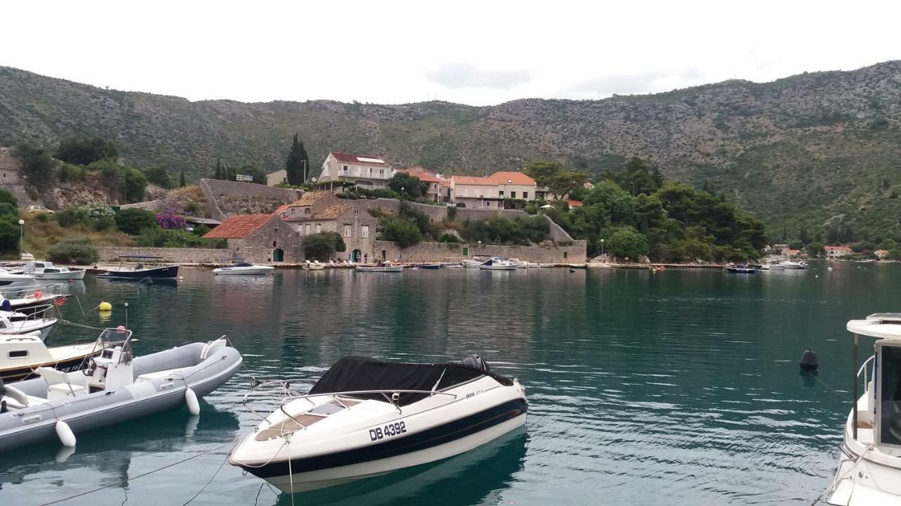 Vesna - Your Best Choice - 80 M From Beach Zaton  Esterno foto